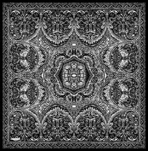 Vierra Desenli Eşarp - Ebedi Saraylar - Siyah